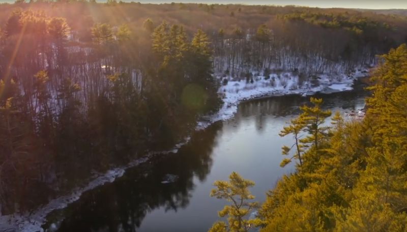 Forest with River