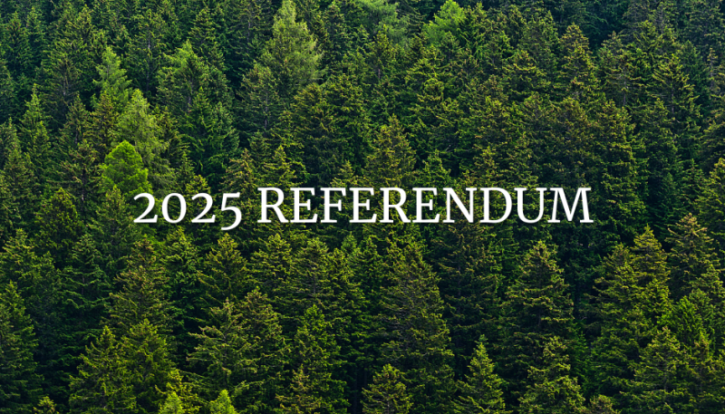 2025 Referendum