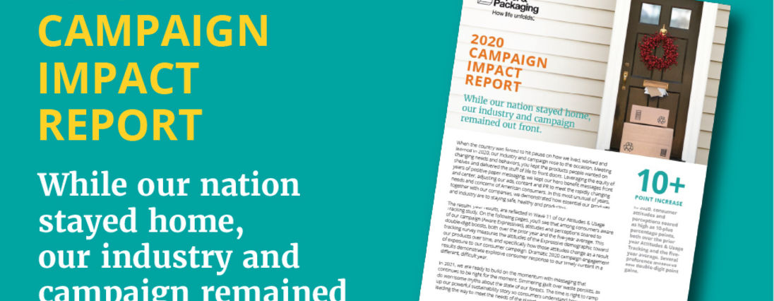 2020 Campaign Impact Report