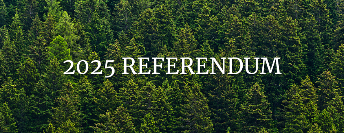 2025 Referendum