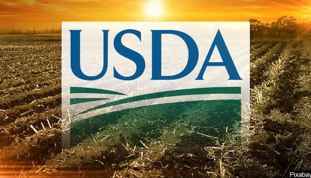 USDA