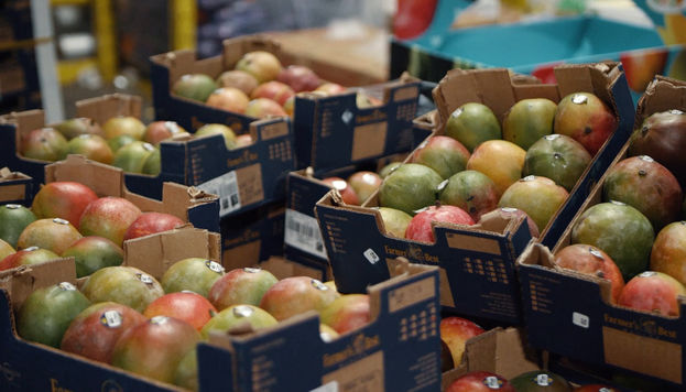 Mangoes