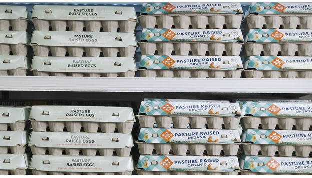 Egg wall