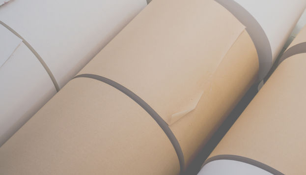 Paper roll