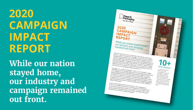 2020 Campaign Impact Report